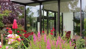 vaste planten en rode rozen voor wintertuin