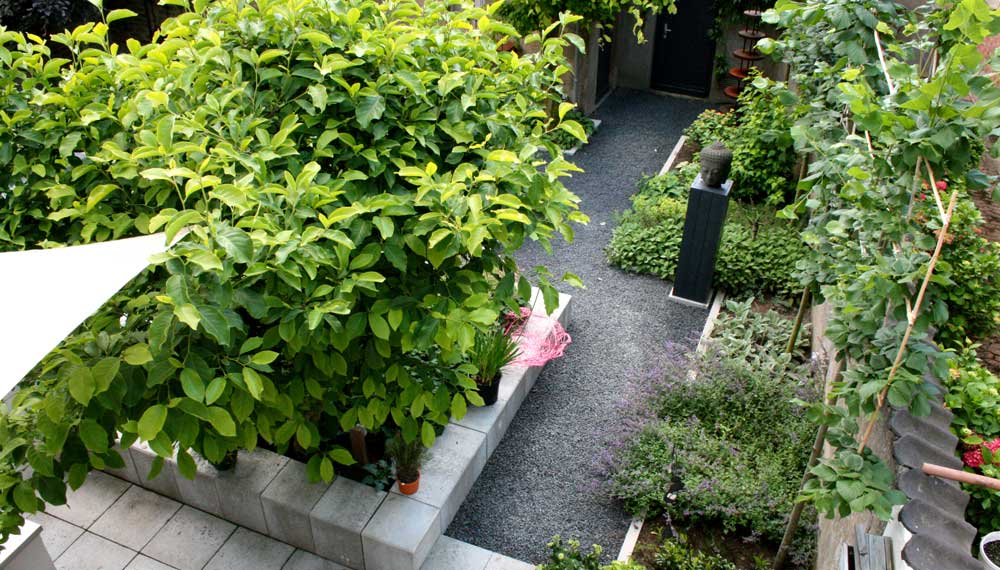 foto kleine strakke moderne tuin vanaf het balkon genomen