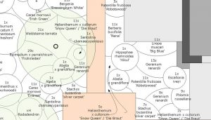 voorbeeld beplantingsplan
