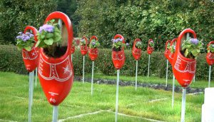 knal rode klompen in arnhem tuin op de buga in gera duitsland
