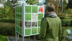 jonge vrouw voor informatiebord in arnhem tuin op de buga in gera duitsland