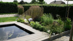 detail beplanting naast vijver