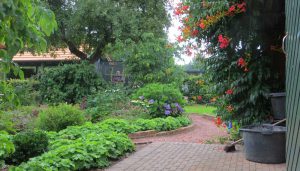 weelderige en ongedwongen beplanting in cottagetuin