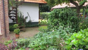 cottage tuin